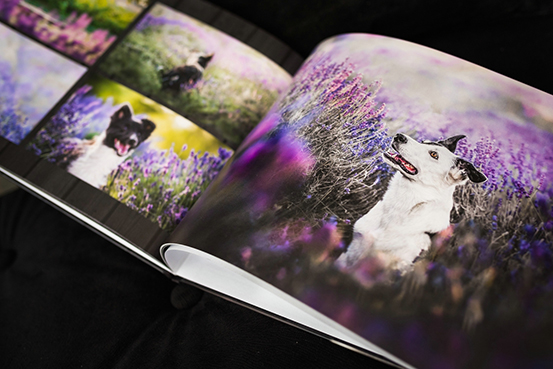 Fotoksiążka fotoalbum
