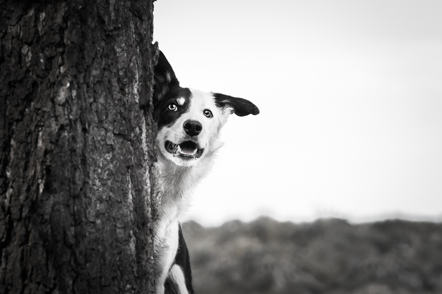 Sesja Black&White